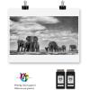 imageValuetoner Remanufactured Ink Cartridge Replacement for HP 98 C9364WN ampamp 95 C8766WN for Officejet 150 100 6310 PhotoSmart 8050 C4180 C4150 Deskjet 460 5940 Printer 2 Black 1 TriColor 3 PackH96